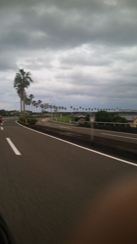 2009062800065.JPG
